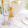 MARGUERITES BLANCHE ET JAUNE X12 D3CM ET