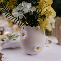 MARGUERITES BLANCHE ET JAUNE X12 D3CM ET