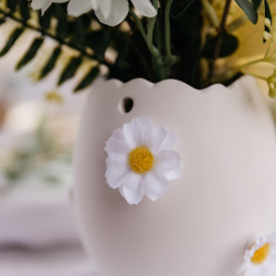 MARGUERITES BLANCHE ET JAUNE X12 D3CM ET