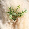 BOUQUET D'EUCALYPTUS VERT ET BLANC 14CM