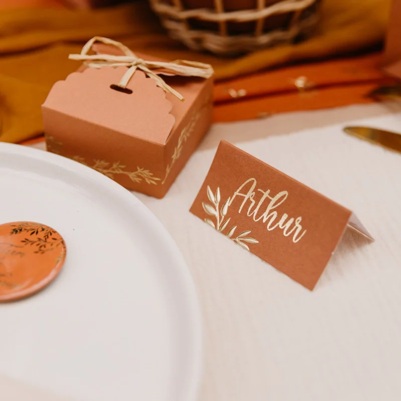 MARQUE-PLACES X10 JOLIS BRINS TERRACOTTA