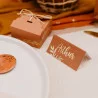 MARQUE-PLACES X10 JOLIS BRINS TERRACOTTA