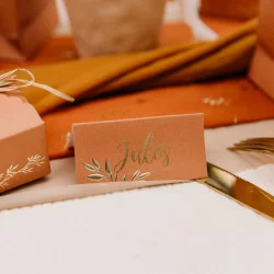 MARQUE-PLACES X10 JOLIS BRINS TERRACOTTA