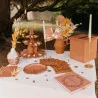 LIVRE D'OR JOLIS BRINS TERRACOTTA ET OR