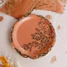 ASSIETTES X8 JOLIS BRINS TERRACOTTA ET O