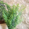 BOUQUET DE MINI FEUILLES VERTES 55CM