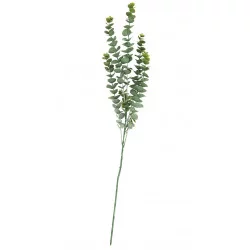 TAK VAN GROENE WITTE...