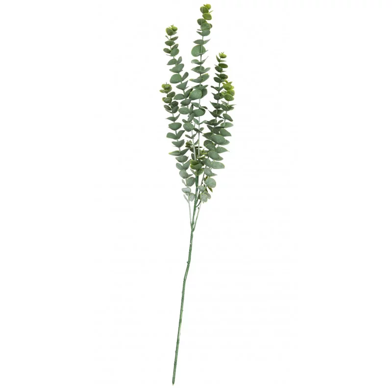 BRANCHE DE FEUILLES EUCALYPTUS VERT BLANC