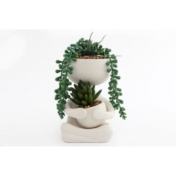 PLANTE SUCCULENTE BONHOMME 20X10CM