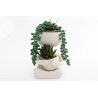 PLANTE SUCCULENTE BONHOMME 20X10CM