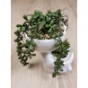 PLANTE SUCCULENTE BONHOMME H18xL10xP13cm