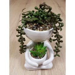 PLANTE SUCCULENTE BONHOMME H18xL10xP13cm