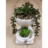 PLANTE SUCCULENTE BONHOMME H18xL10xP13cm