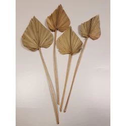 FEUILLES DE PALMIER SÉCHÉES NATUREL X4 H40cm