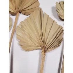 FEUILLES DE PALMIER SÉCHÉES NATUREL X4 H40cm