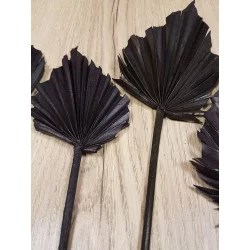 FEUILLES DE PALMIER SÉCHÉES NOIRES X4
