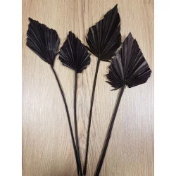 FEUILLES DE PALMIER SÉCHÉES NOIRES X4