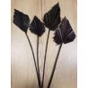 FEUILLES DE PALMIER SÉCHÉES NOIRES X4 FEUILLES DE PALMIER SÉCHÉES NOIRES X4