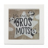 TIRELIRE "GROS MOTS"