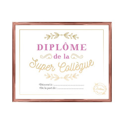 CADRE DIPLOME LA SUPER COLLEGUE