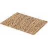 SET DE TABLE JACINTHE D'EAU RECT 43X34CM