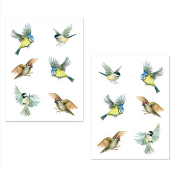 STICKER DE VITRE OISEAUX AQUARELLES
