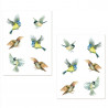 STICKER DE VITRE OISEAUX AQUARELLES
