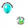 BALLONS TURQUOISE X25