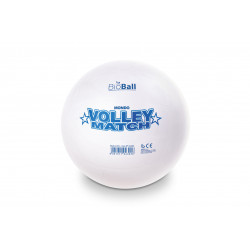 Ballon de volley / D.21,6cm