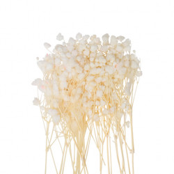 20 MINI BRANCHES DE GYPSOPHILE CREME