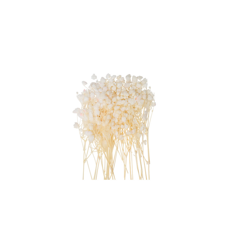 20 MINI BRANCHES DE GYPSOPHILE CREME