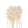 20 MINI BRANCHES DE GYPSOPHILE CREME