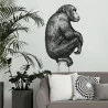 STICKER GM CHIMPANZÉ STICKER GM CHIMPANZÉ
