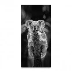 TOILE KOALA 55x120cm