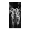 TOILE KOALA 55x120cm TOILE KOALA 55x120cm