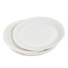 ASSIETTES BLANC X20 D23CM EN CARTON SANS