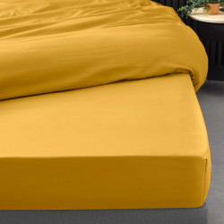 DRAP HOUSSE 140x190CM PERCALINE CURRY