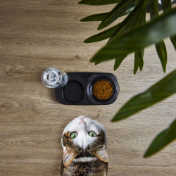 GAMELLE ET DISTRIBUTEUR EAU POUR ANIMAUX