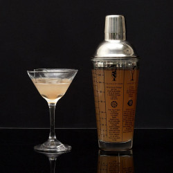 SHAKER EN VERRE AVEC RECETTES 450ML