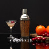 SHAKER EN VERRE AVEC RECETTES 450ML