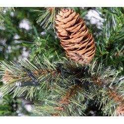 Vermont Fir H180cm LED
