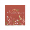 PACK 10 SERVIETTES TERRACOTTA PACK 10 SERVIETTES TERRACOTTA