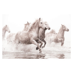 TOILE CHEVAUX 160X100CMS