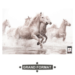 TOILE CHEVAUX 160X100CMS