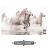 TOILE CHEVAUX 160X100CMS TOILE CHEVAUX 160X100CMS