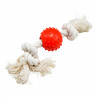 JOUET BALLE CAOUTCHOUC SUR CORDE D7XH33C
