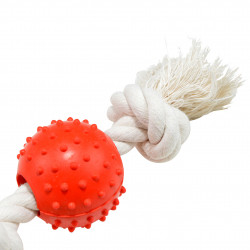 JOUET BALLE CAOUTCHOUC SUR CORDE D7XH33C