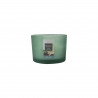 BOUGIE VERRINE 3 MECHES THE VERT D11X8CM