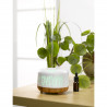 DIFFUSEUR D'AROMES MOTIF NATURE 300ML EF DIFFUSEUR D'AROMES MOTIF NATURE 300ML EF