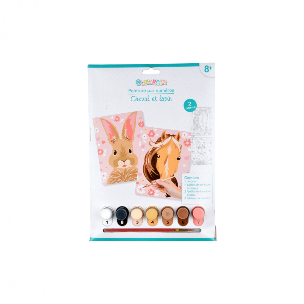 PEINTURE PAR NUMEROS 2 TABLEAUX LAPIN+CH